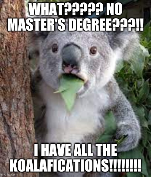 No Master's Degree??? | WHAT????? NO MASTER'S DEGREE???!! I HAVE ALL THE KOALAFICATIONS!!!!!!!! | image tagged in funny memes | made w/ Imgflip meme maker