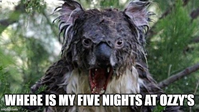 FNAO | WHERE IS MY FIVE NIGHTS AT OZZY'S | image tagged in memes,angry koala | made w/ Imgflip meme maker