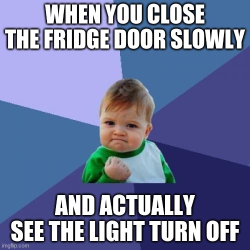 Don't tell me you never did this | WHEN YOU CLOSE THE FRIDGE DOOR SLOWLY; AND ACTUALLY SEE THE LIGHT TURN OFF | image tagged in memes,success kid | made w/ Imgflip meme maker