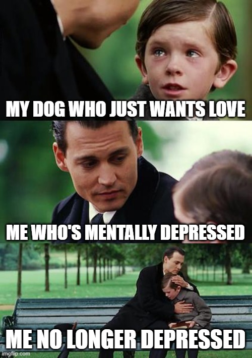 Finding Neverland | MY DOG WHO JUST WANTS LOVE; ME WHO'S MENTALLY DEPRESSED; ME NO LONGER DEPRESSED | image tagged in memes,finding neverland | made w/ Imgflip meme maker
