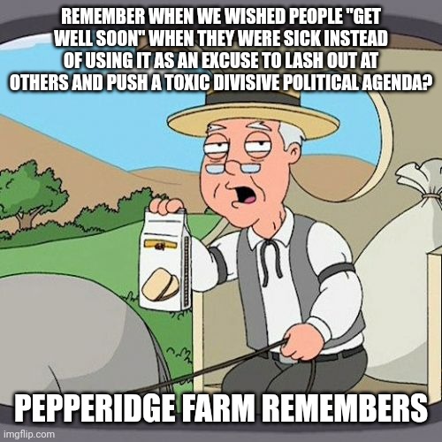 One thing that I hate most about the pandemic is how toxic and divisive people have become towards each other | REMEMBER WHEN WE WISHED PEOPLE "GET WELL SOON" WHEN THEY WERE SICK INSTEAD OF USING IT AS AN EXCUSE TO LASH OUT AT OTHERS AND PUSH A TOXIC DIVISIVE POLITICAL AGENDA? PEPPERIDGE FARM REMEMBERS | image tagged in memes,pepperidge farm remembers | made w/ Imgflip meme maker