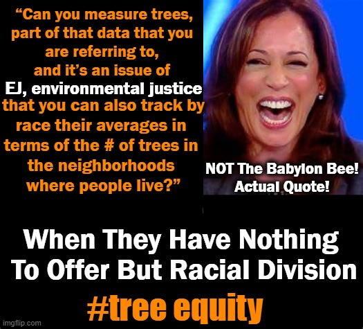 Kamala Harris Approval Rating Hits 28% For A Reason! Moron Alert.... | “Can you measure trees,
part of that data that you 
are referring to, 
and it’s an issue of; EJ, environmental justice; that you can also track by
race their averages in 
terms of the # of trees in 
the neighborhoods 
where people live?”; NOT The Babylon Bee!
Actual Quote! When They Have Nothing 
To Offer But Racial Division; #tree equity | image tagged in politics,kamala harris,moron alert,racial equity,trees,democrat idiocy | made w/ Imgflip meme maker