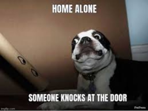scared | image tagged in scared dog,home alone,noise | made w/ Imgflip meme maker