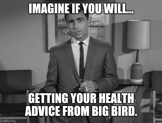 You gotta be one dumb sob. | IMAGINE IF YOU WILL... GETTING YOUR HEALTH ADVICE FROM BIG BIRD. | image tagged in memes | made w/ Imgflip meme maker