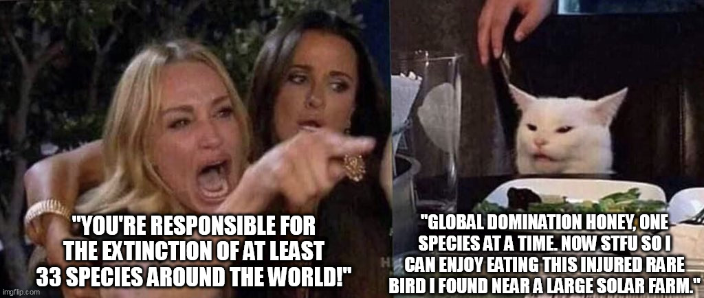 woman yelling at cat | "GLOBAL DOMINATION HONEY, ONE SPECIES AT A TIME. NOW STFU SO I CAN ENJOY EATING THIS INJURED RARE BIRD I FOUND NEAR A LARGE SOLAR FARM."; "YOU'RE RESPONSIBLE FOR THE EXTINCTION OF AT LEAST 33 SPECIES AROUND THE WORLD!" | image tagged in woman yelling at cat,solar farms,kill,birds,extinction | made w/ Imgflip meme maker