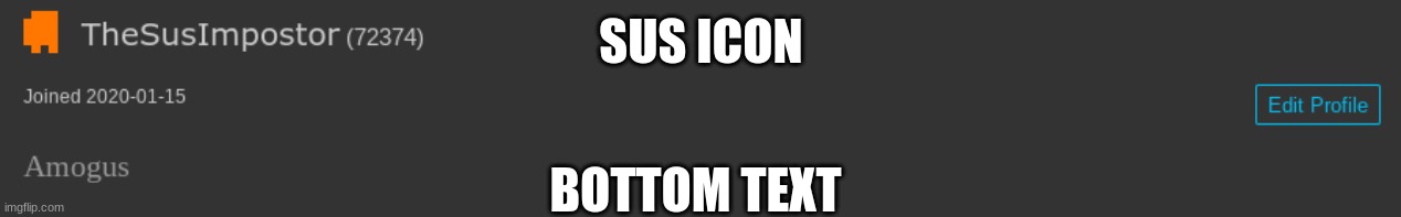 SUS ICON; BOTTOM TEXT | made w/ Imgflip meme maker