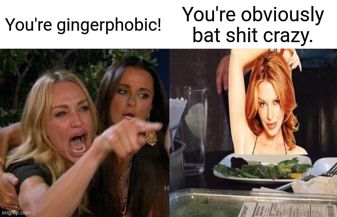 Stop projecting | You're gingerphobic! You're obviously bat shit crazy. | image tagged in memes,woman yelling at cat | made w/ Imgflip meme maker