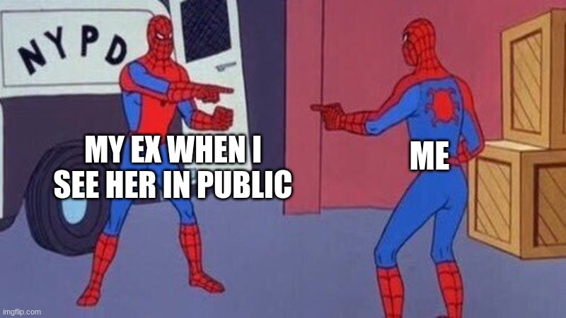 spiderman pointing at spiderman | MY EX WHEN I SEE HER IN PUBLIC; ME | image tagged in spiderman pointing at spiderman | made w/ Imgflip meme maker