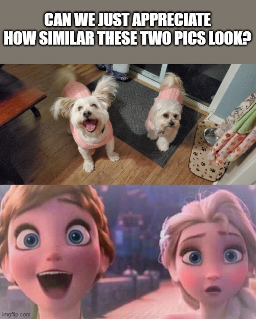 Teo Reactions | CAN WE JUST APPRECIATE HOW SIMILAR THESE TWO PICS LOOK? | image tagged in frozen,dogs,lol | made w/ Imgflip meme maker