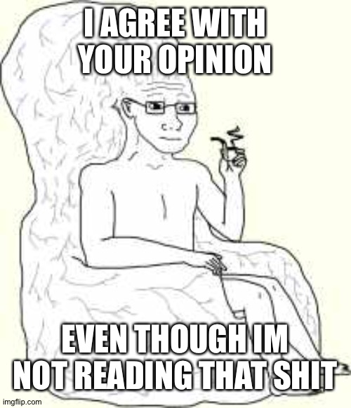 Big Brain Wojak | I AGREE WITH YOUR OPINION EVEN THOUGH IM NOT READING THAT SHIT | image tagged in big brain wojak | made w/ Imgflip meme maker