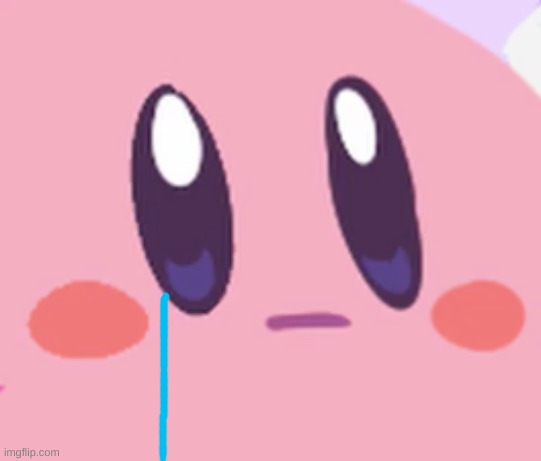 Blank Kirby Face | image tagged in blank kirby face | made w/ Imgflip meme maker