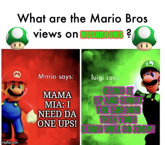 Don't listen to Luigi! | MUSHROOMS; GRIND IT UP AND SNORT THE SHROOM THEN YOUR BRAIN WILL GO ZOOM! MAMA MIA: I NEED DA ONE UPS! | image tagged in what are the mario bros views on,shrooms,mario,luigi,dont do it | made w/ Imgflip meme maker