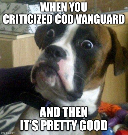 Sorry COD |  WHEN YOU CRITICIZED COD VANGUARD; AND THEN IT’S PRETTY GOOD | image tagged in scared dog,memes,vanguard,cod,thanks | made w/ Imgflip meme maker