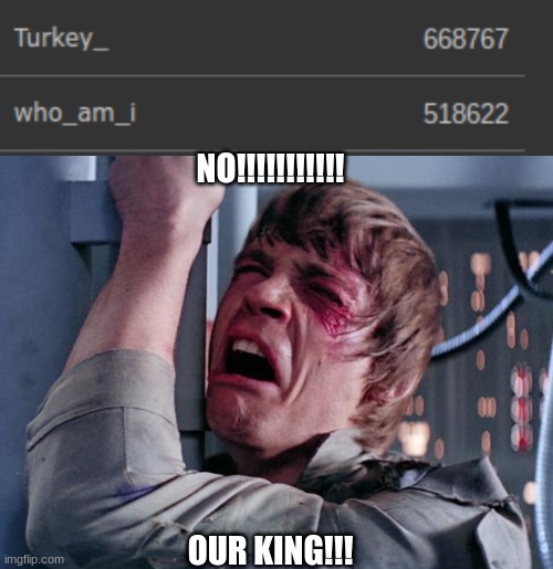 how dare you. | NO!!!!!!!!!!! OUR KING!!! | image tagged in luke nooooo,who_am_i,turkey,wtf,why | made w/ Imgflip meme maker