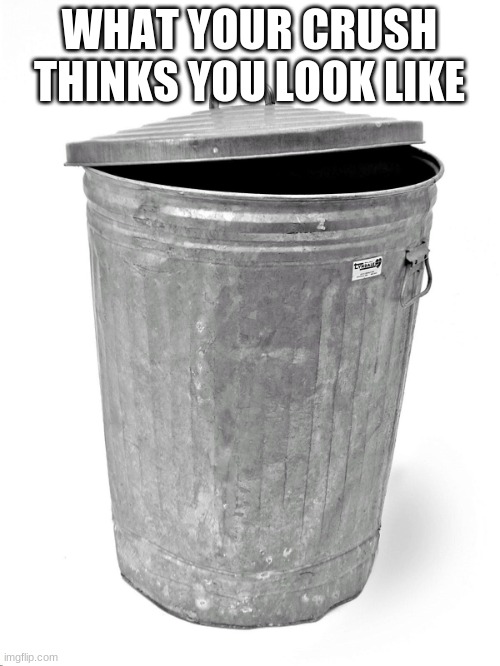 Trash Can | WHAT YOUR CRUSH THINKS YOU LOOK LIKE | image tagged in trash can | made w/ Imgflip meme maker