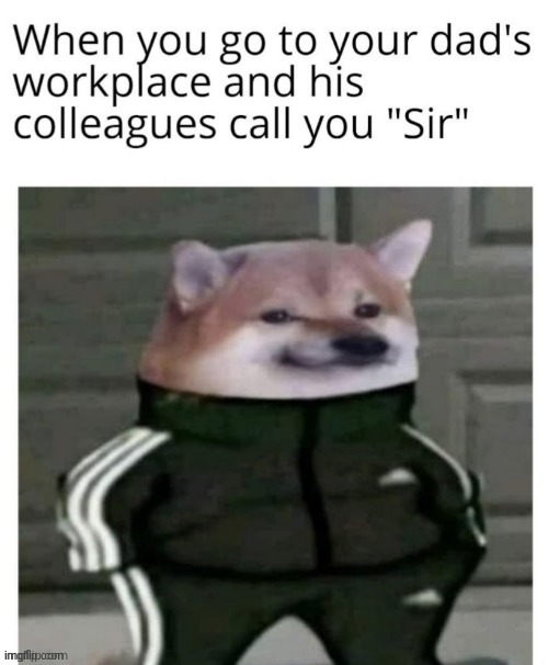 some nice repost | image tagged in memes,dog | made w/ Imgflip meme maker