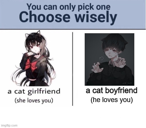 Choose wisely | a cat boyfriend; (he loves you) | image tagged in choose wisely | made w/ Imgflip meme maker