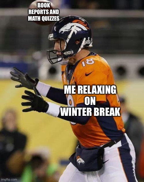 Professional Football Guy | BOOK REPORTS AND MATH QUIZZES; ME RELAXING ON WINTER BREAK | image tagged in professional football guy | made w/ Imgflip meme maker