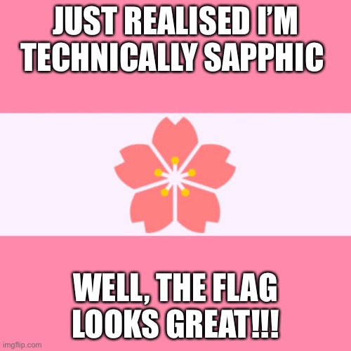 JUST REALISED I’M TECHNICALLY SAPPHIC; WELL, THE FLAG LOOKS GREAT!!! | made w/ Imgflip meme maker
