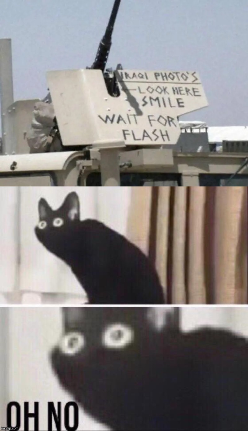 Oh no | image tagged in oh no cat,memes,funny,dark humor,lmao,oop | made w/ Imgflip meme maker