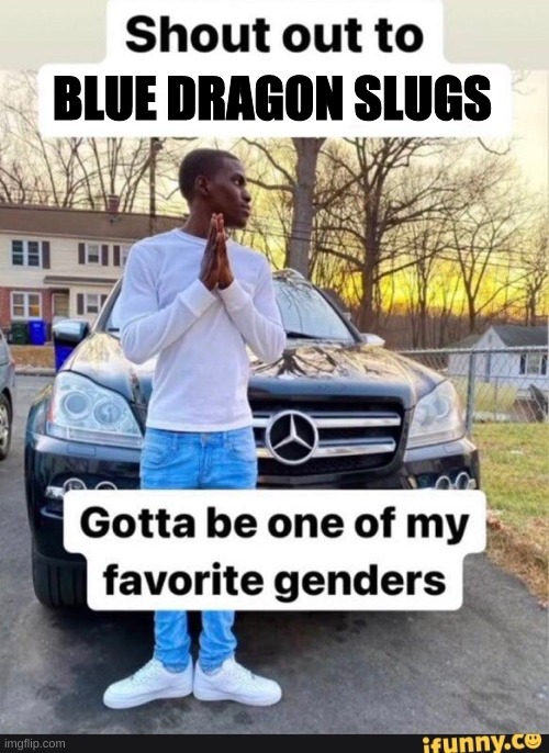 gotta be one of my favorite genders | BLUE DRAGON SLUGS | image tagged in gotta be one of my favorite genders | made w/ Imgflip meme maker