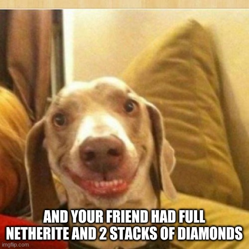 big smile doggie | AND YOUR FRIEND HAD FULL NETHERITE AND 2 STACKS OF DIAMONDS | image tagged in big smile doggie | made w/ Imgflip meme maker