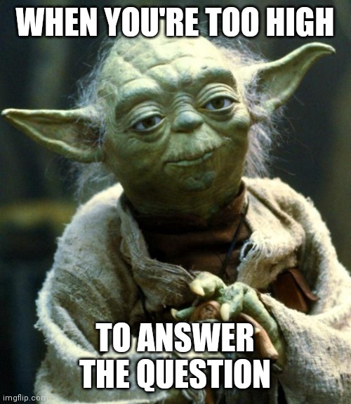 Funny Yoda | WHEN YOU'RE TOO HIGH; TO ANSWER THE QUESTION | image tagged in memes,star wars yoda | made w/ Imgflip meme maker
