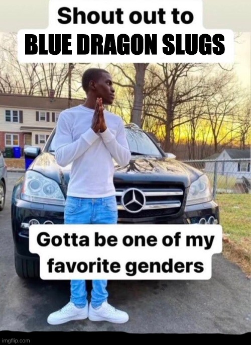 gotta be one of my favorite genders | BLUE DRAGON SLUGS | image tagged in gotta be one of my favorite genders | made w/ Imgflip meme maker