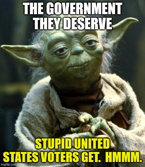 Master Yoda | THE GOVERNMENT THEY DESERVE; STUPID UNITED STATES VOTERS GET.  HMMM. | image tagged in star wars yoda,joe iden,democrats,liberals,snowflakes,biden even worse potus than trump | made w/ Imgflip meme maker