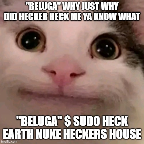 Hecker might learn his lesson maybe........ | "BELUGA" WHY JUST WHY DID HECKER HECK ME YA KNOW WHAT; "BELUGA" $ SUDO HECK EARTH NUKE HECKERS HOUSE | image tagged in beluga | made w/ Imgflip meme maker