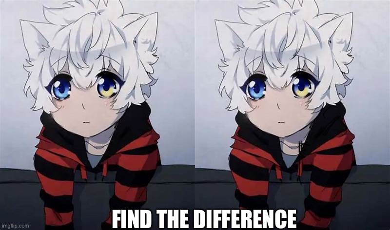 FIND THE DIFFERENCE | made w/ Imgflip meme maker