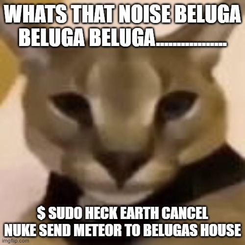 No one can stop hecker | WHATS THAT NOISE BELUGA BELUGA BELUGA................. $ SUDO HECK EARTH CANCEL NUKE SEND METEOR TO BELUGAS HOUSE | image tagged in hecker | made w/ Imgflip meme maker