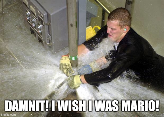 Plumber | DAMNIT! I WISH I WAS MARIO! | image tagged in plumber | made w/ Imgflip meme maker