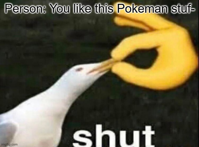 HOW HARD IS IT TO SAY O? | Person: You like this Pokeman stuf- | image tagged in shut | made w/ Imgflip meme maker