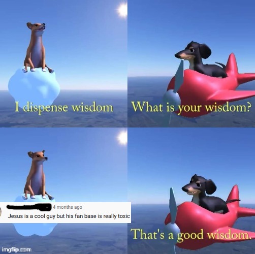 Found on a Jammidodger video | image tagged in wisdom dog | made w/ Imgflip meme maker