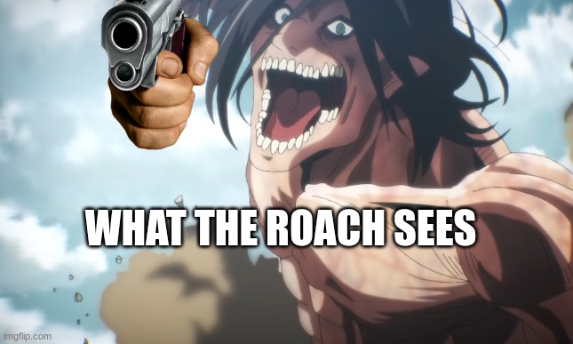 WHAT THE ROACH SEES | image tagged in die,bugs | made w/ Imgflip meme maker