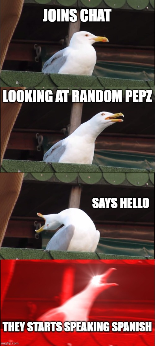 im not here 4 posts 4 points im here for reply cuz i dont care | JOINS CHAT; LOOKING AT RANDOM PEPZ; SAYS HELLO; THEY STARTS SPEAKING SPANISH | image tagged in memes,inhaling seagull | made w/ Imgflip meme maker