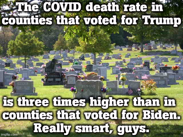 You can be proud of yourselves, even if you're dead. | The COVID death rate in 
counties that voted for Trump; is three times higher than in 
counties that voted for Biden.
Really smart, guys. | image tagged in cemetery,trump,death,covid-19,anti vax,dead | made w/ Imgflip meme maker