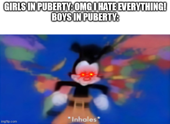 Girls vs boys | GIRLS IN PUBERTY: OMG I HATE EVERYTHING!
BOYS IN PUBERTY: | image tagged in yakko inhale,girls vs boys,how was life | made w/ Imgflip meme maker