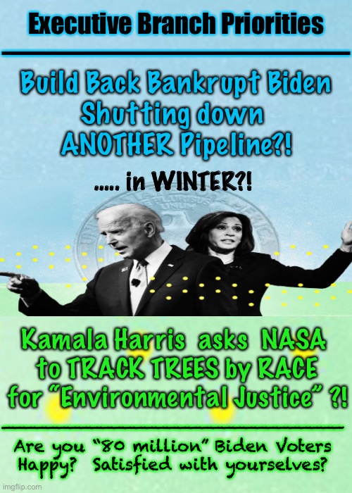 They may be YOURS.   They sure as L ain’t MINE | Executive Branch Priorities
—————————————; Build Back Bankrupt Biden
Shutting down 
ANOTHER Pipeline?! ….. in WINTER?! Kamala Harris  asks  NASA 
to TRACK TREES by RACE for “Environmental Justice” ?! ———————————————————————————————
Are you “80 million” Biden Voters
Happy?  Satisfied with yourselves? | image tagged in memes,biden harris,power money control,destroy america first,then move on to destroying the world,biden voters can kiss my ass | made w/ Imgflip meme maker