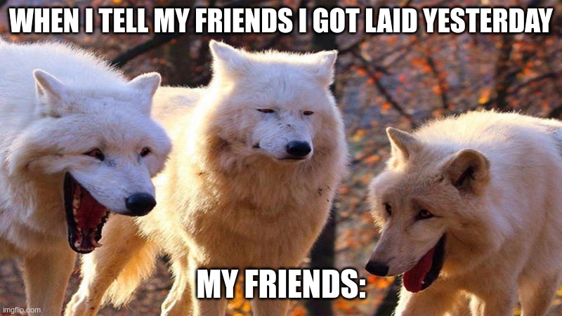 When I tell my friends I got laid yesterday | WHEN I TELL MY FRIENDS I GOT LAID YESTERDAY; MY FRIENDS: | image tagged in funny,wolf,meme | made w/ Imgflip meme maker