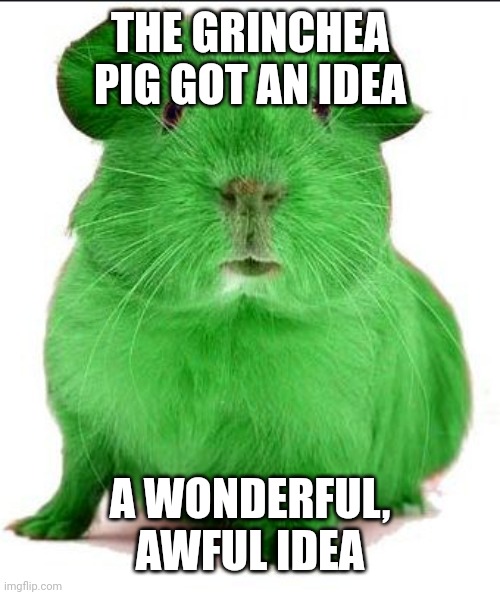Green Guinea Pig | THE GRINCHEA PIG GOT AN IDEA; A WONDERFUL, AWFUL IDEA | image tagged in green guinea pig | made w/ Imgflip meme maker