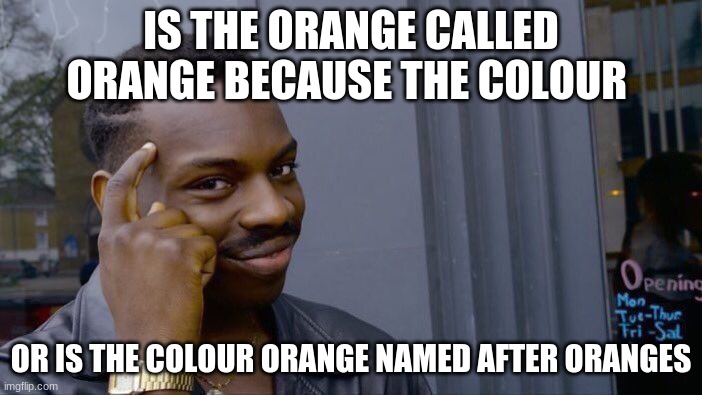 Roll Safe Think About It | IS THE ORANGE CALLED ORANGE BECAUSE THE COLOUR; OR IS THE COLOUR ORANGE NAMED AFTER ORANGES | image tagged in memes,roll safe think about it | made w/ Imgflip meme maker