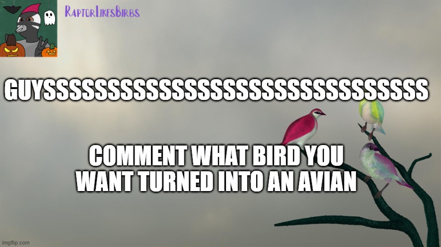 and if you want it to be male/female/other | GUYSSSSSSSSSSSSSSSSSSSSSSSSSSSSSS; COMMENT WHAT BIRD YOU WANT TURNED INTO AN AVIAN | image tagged in raptor's template,furry | made w/ Imgflip meme maker
