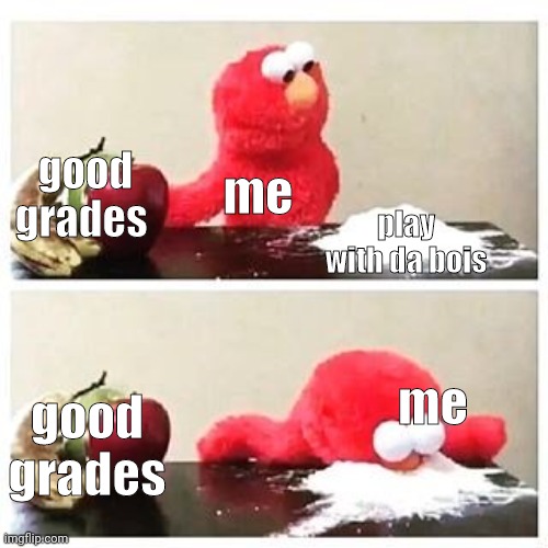 playing with day bois better |  good grades; me; play with da bois; me; good grades | image tagged in elmo cocaine | made w/ Imgflip meme maker