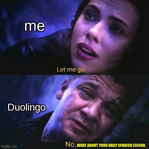 you made duo sad, you missed your daily spanish lesson. | me; Duolingo; , WHAT ABOUT YOUR DAILY SPANISH LESSON. | image tagged in let me go no | made w/ Imgflip meme maker