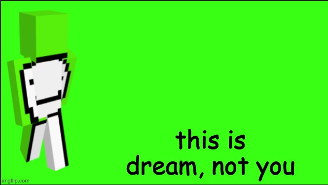 Dream, The Art Of Minecraft | this is dream, not you | image tagged in dream the art of minecraft | made w/ Imgflip meme maker