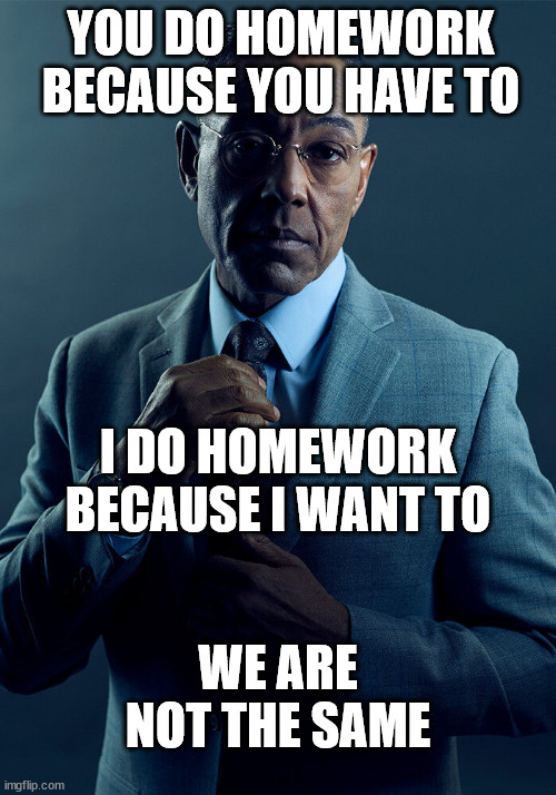**nerdiness intensifies** | YOU DO HOMEWORK BECAUSE YOU HAVE TO; I DO HOMEWORK BECAUSE I WANT TO; WE ARE NOT THE SAME | image tagged in gus fring we are not the same | made w/ Imgflip meme maker