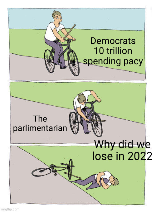 sad |  Democrats 10 trillion spending pacy; The parlimentarian; Why did we lose in 2022 | image tagged in memes,bike fall | made w/ Imgflip meme maker