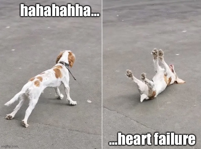 When u laugh too hard | hahahahha…; …heart failure | image tagged in petrified pete,seizure dog,when you laugh too hard,heart failure,lmaoo imagine still reading the tags lol | made w/ Imgflip meme maker